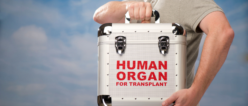 Organ transplant in india